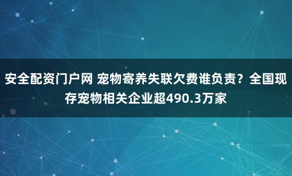 安全配资门户网 宠物寄养失联欠费谁负责？全国现存宠物相关企业超490.3万家