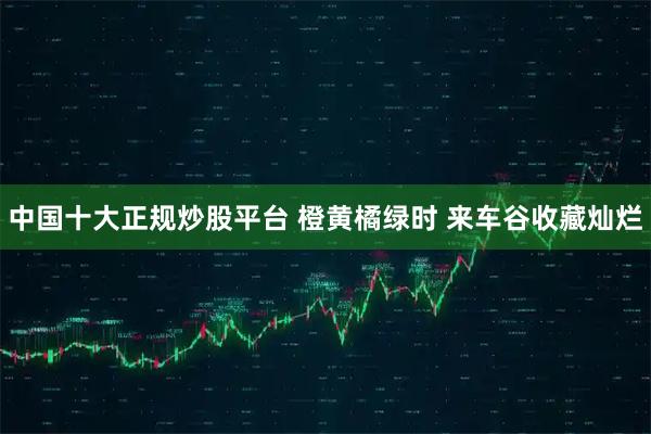 中国十大正规炒股平台 橙黄橘绿时 来车谷收藏灿烂